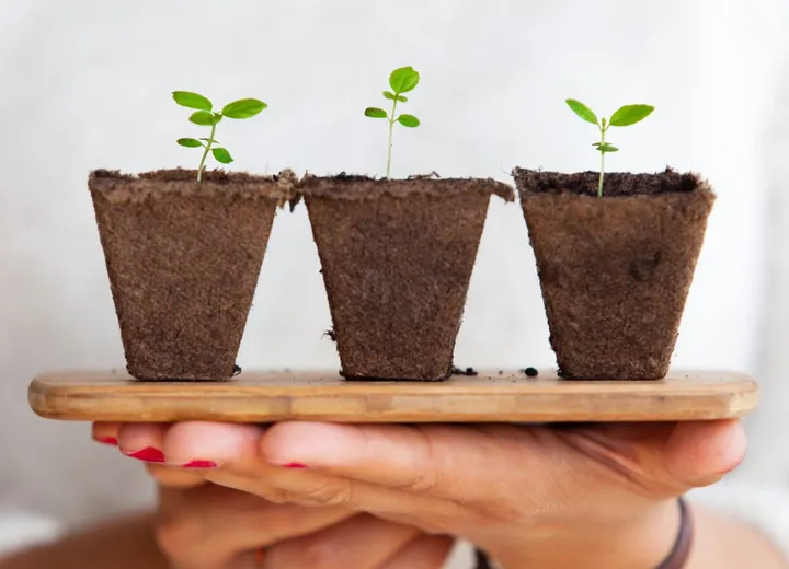 Grupa osób w ruchu podczas warsztatu, w dynamicznym układzie koła.