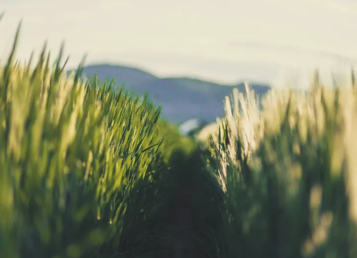 Osoba siedząca samotnie przy stole, w skupionym i refleksyjnym nastroju.