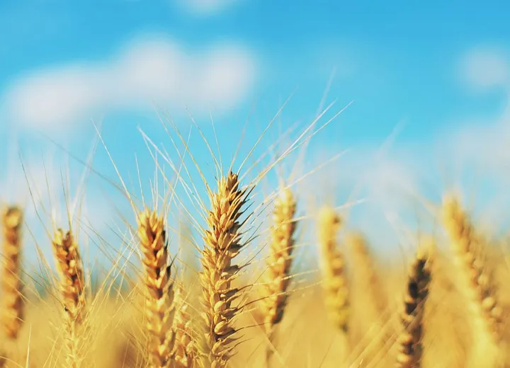 Bliska relacja dorosłego i dziecka w ciepłym, domowym świetle.