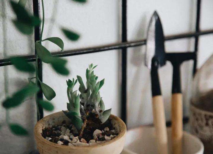 Grupa osób pracujących wspólnie przy stole podczas spotkania szkoleniowego.