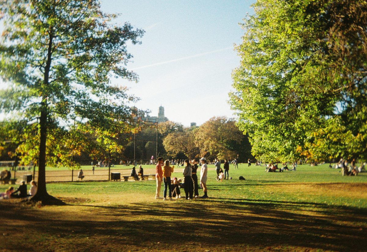 Ludzie w parku – spotkanie w przestrzeni publicznej.